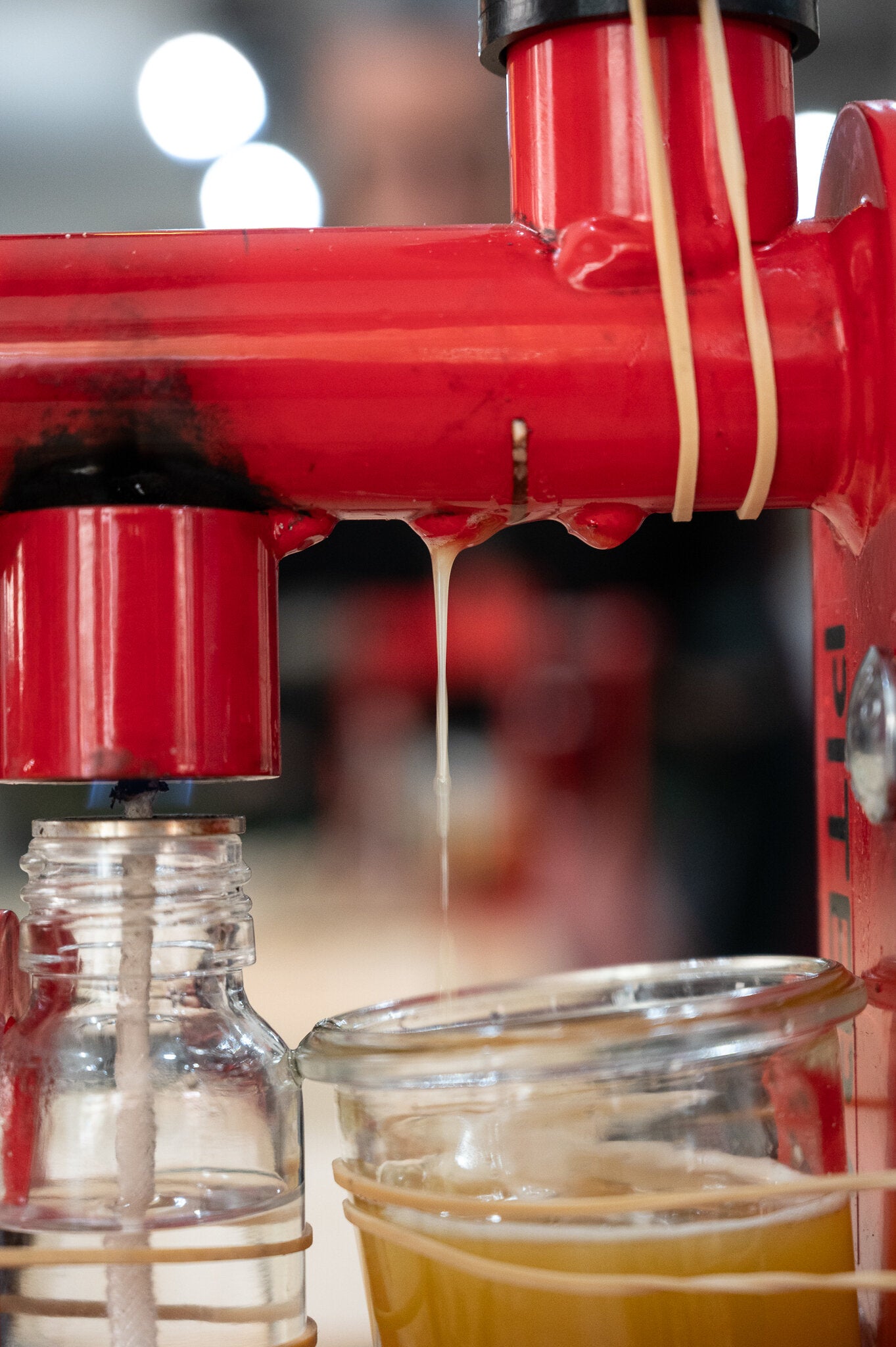 Atelier pressage d'huile d'amande pour les enfants